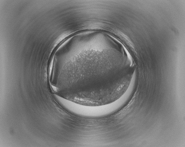 X0000115061226200911161601