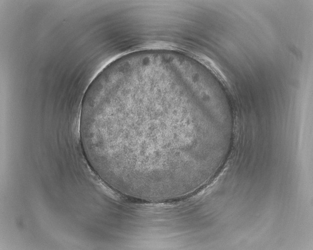 X0000115061228200911161601