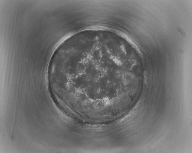 X0000115061229200911161601