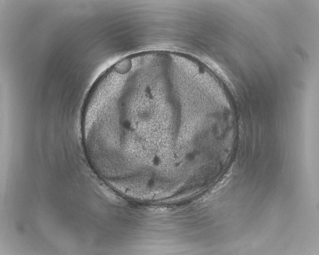 X0000115061230200911161602