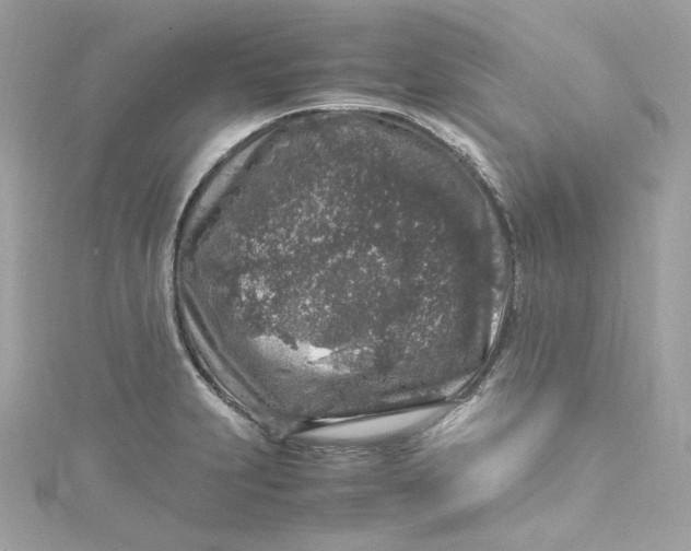 X0000115061231200911161602