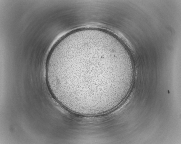 X0000115061232200911161602