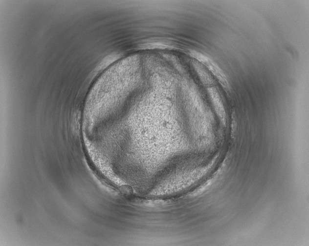 X0000115061233200911161602