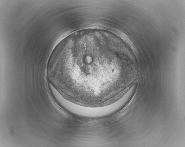 X0000115061234200911161602