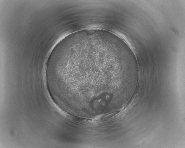 X0000115061235200911161602