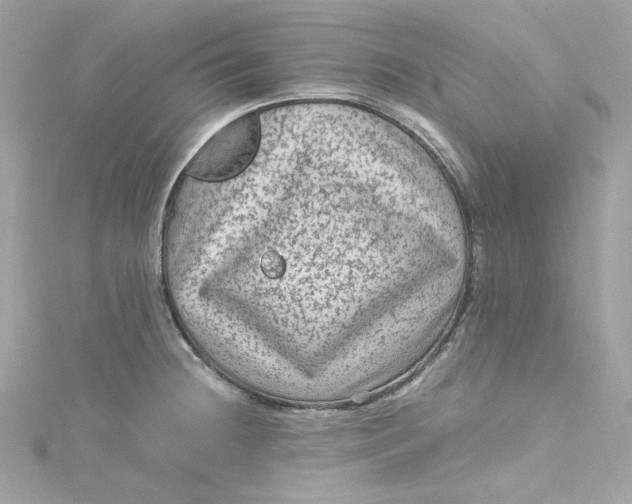 X0000115061236200911161602