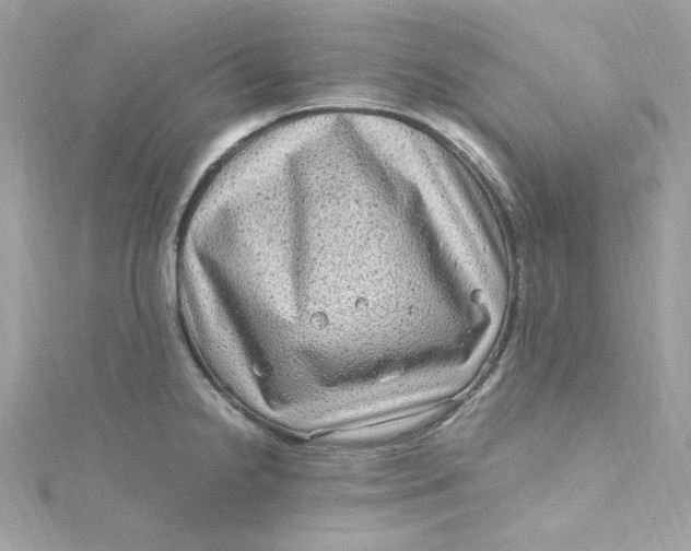 X0000115061238200911161602