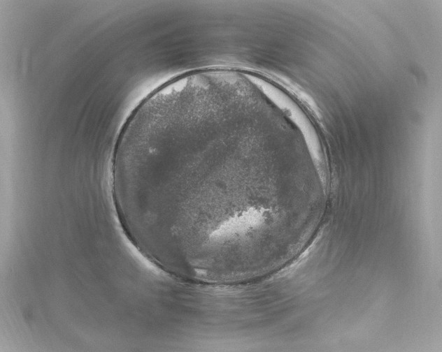 X0000115061239200911161602