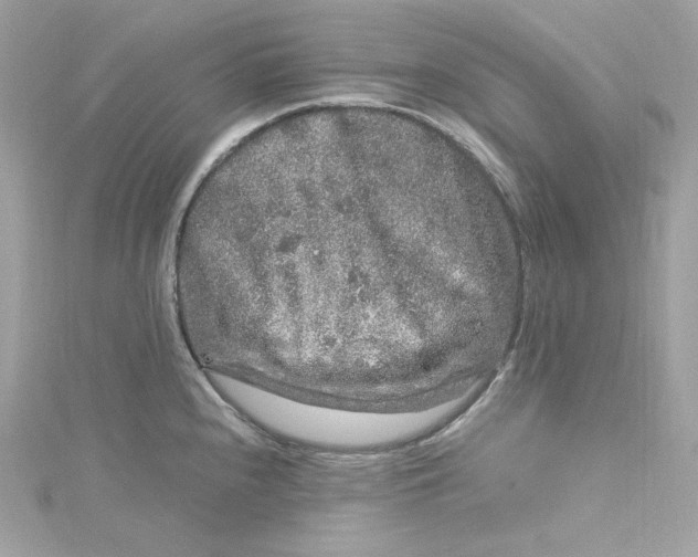 X0000115061240200911161602