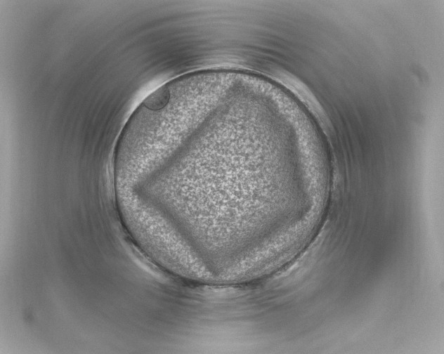 X0000115061242200911161602