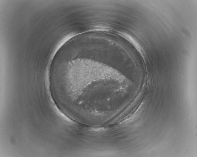 X0000115061243200911161602