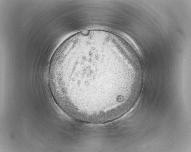 X0000115061244200911161602