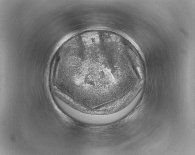 X0000115061245200911161602