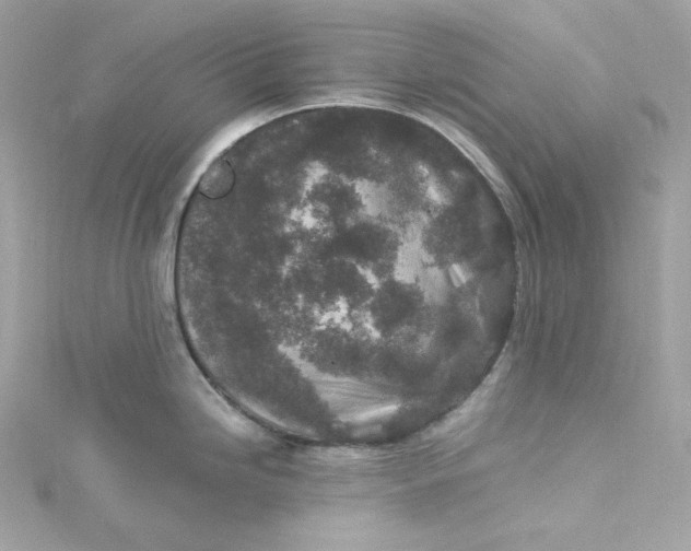 X0000115061246200911161602