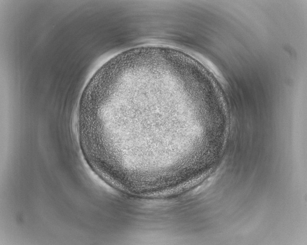 X0000115061247200911161602