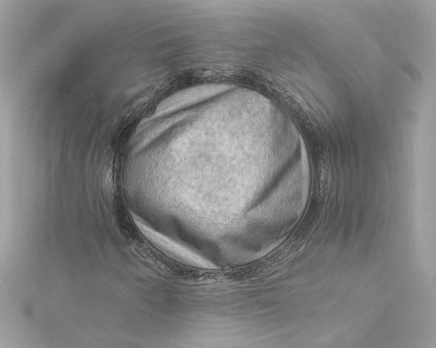 X0000115061250200911161601