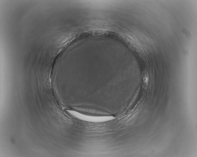 X0000115061252200911161601