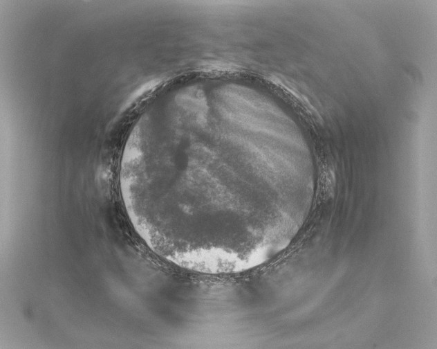 X0000115061254200911161601