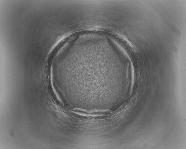 X0000115061256200911161601