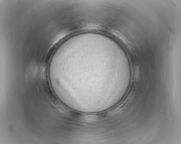 X0000115061258200911161601