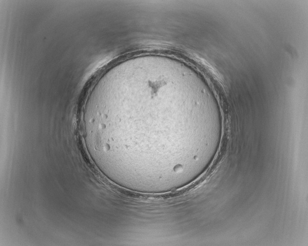 X0000115061261200911161601