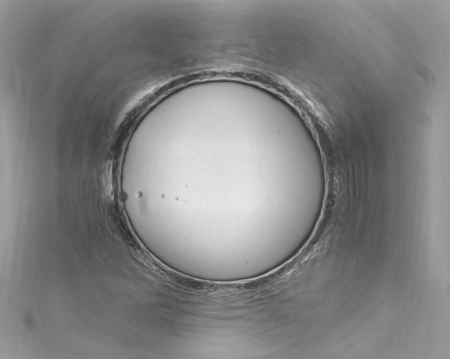 X0000115061262200911161601