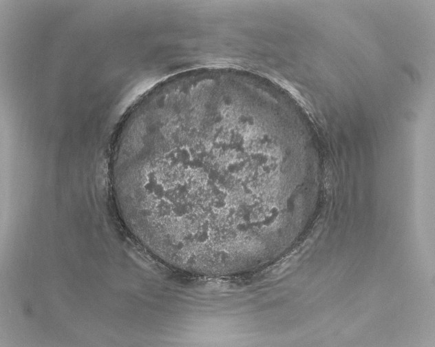 X0000115061263200911161601