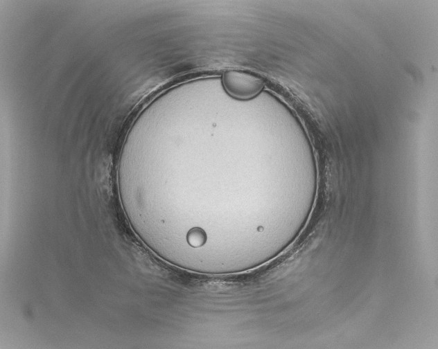 X0000115061265200911161601