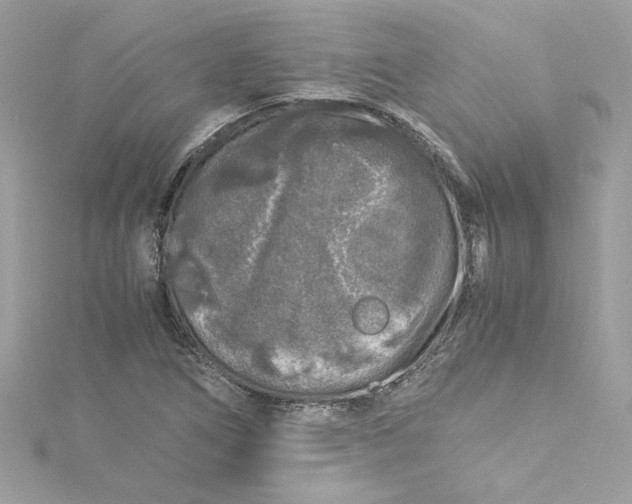 X0000115061266200911161601