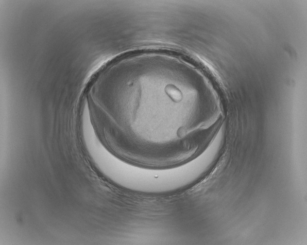 X0000115061267200911161601