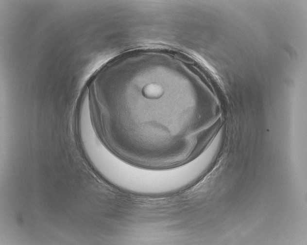 X0000115061269200911161601