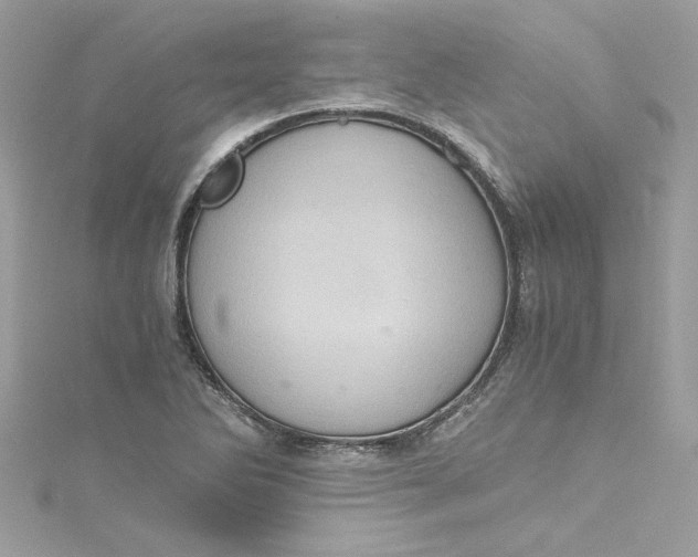 X0000115061270200911161601