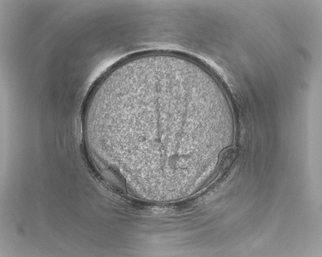 X0000115061271200911161601