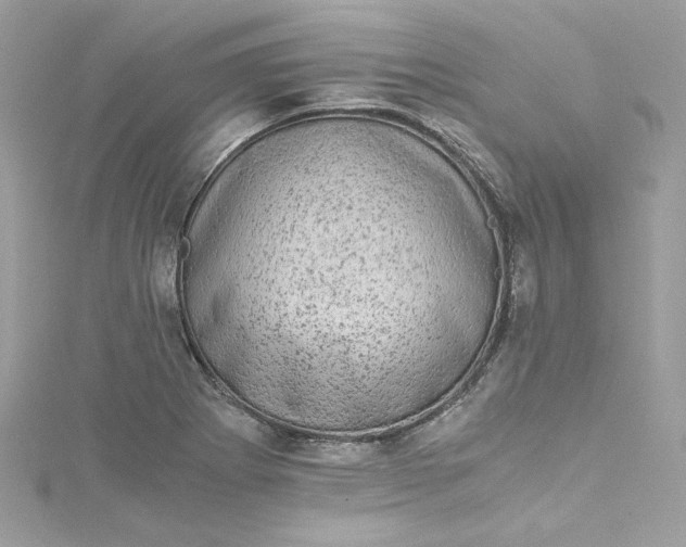 X0000115061273200911161601