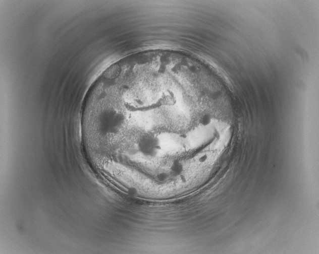 X0000115061274200911161601