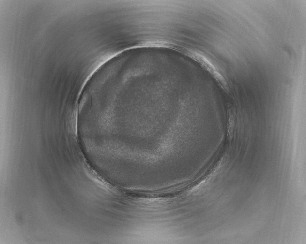 X0000115061276200911161601