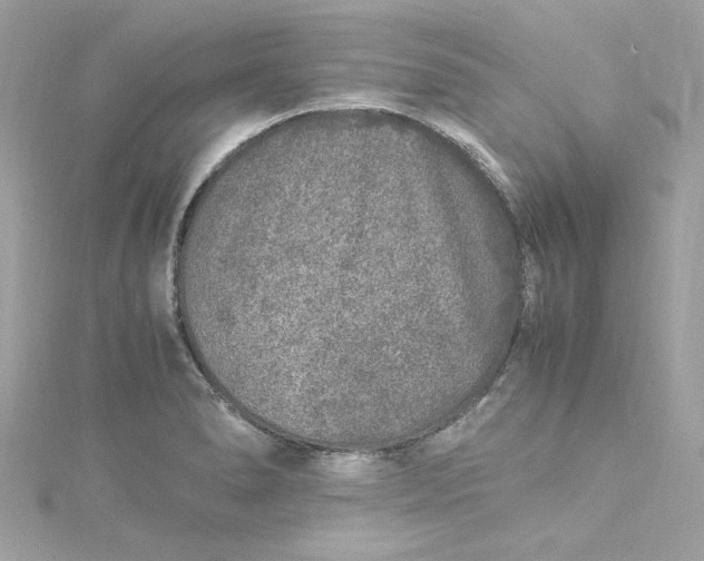 X0000115061278200911161601