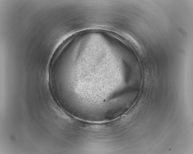 X0000115061280200911161601