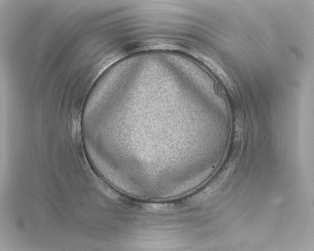 X0000115061281200911161601