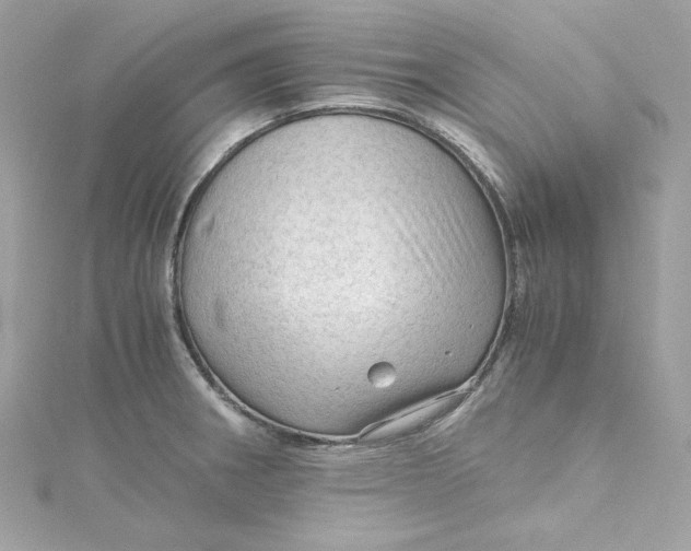 X0000115061282200911161601