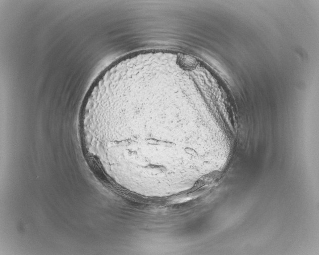 X0000115061283200911161601