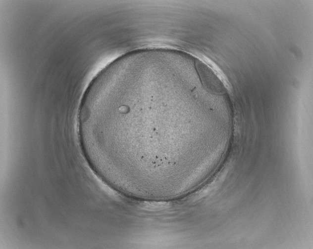 X0000115061285200911161601