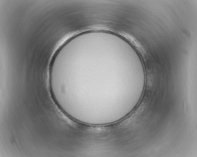 X0000115061286200911161601