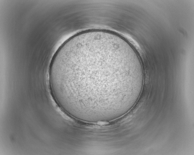 X0000115061287200911161601