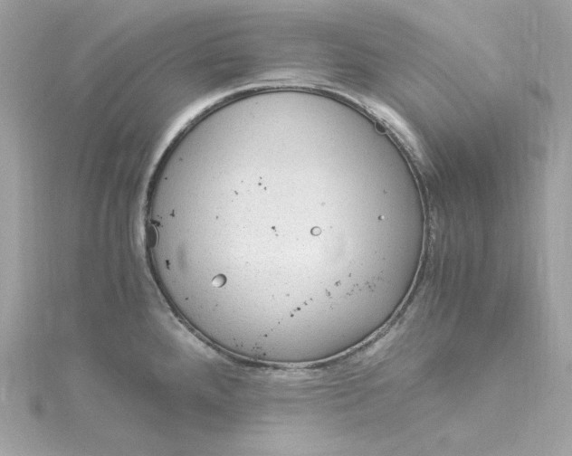 X0000115061288200911161600