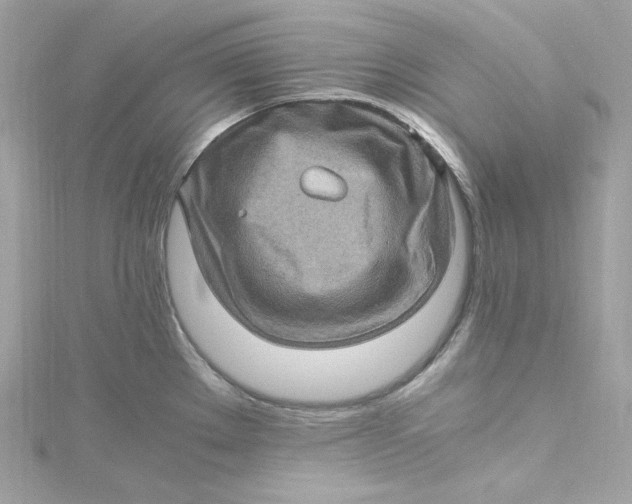 X0000115061289200911161600