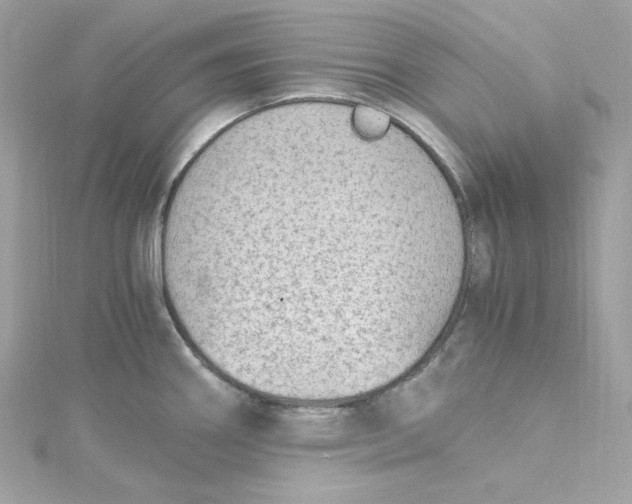 X0000115061290200911161600