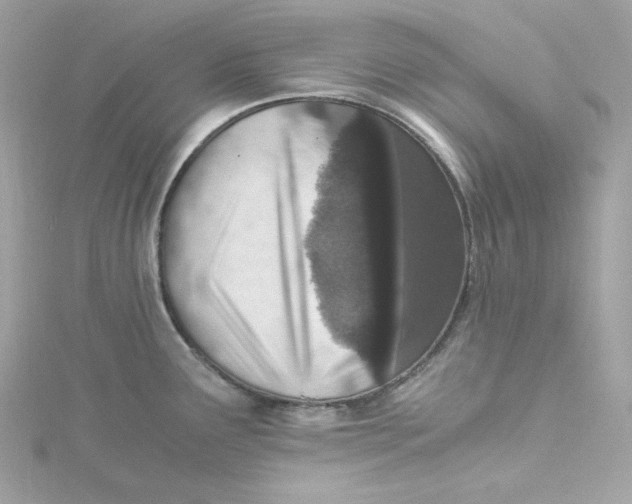 X0000115061291200911161600