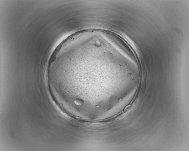 X0000115061293200911161600