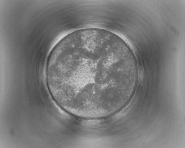 X0000115061294200911161600